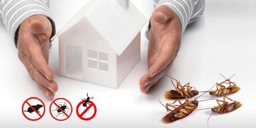Best pest control service