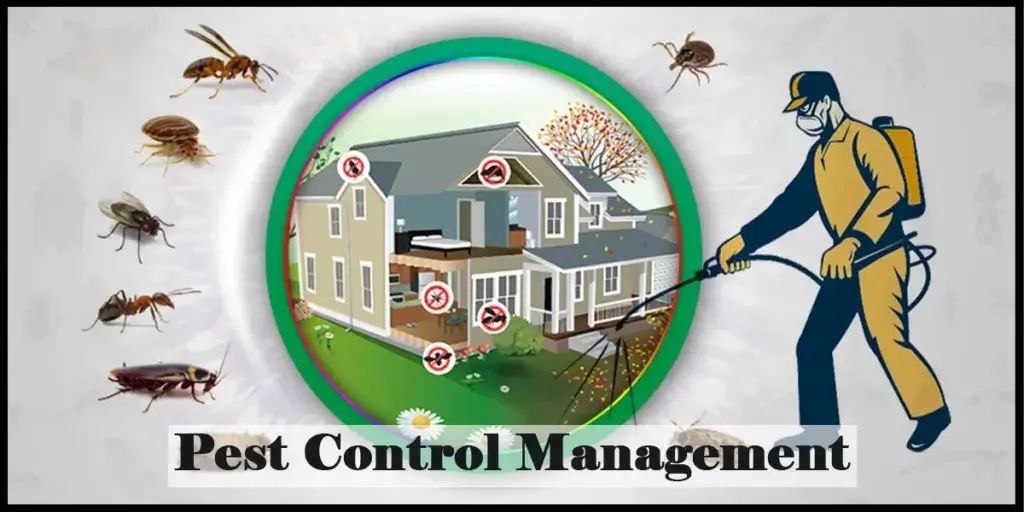 pest control service